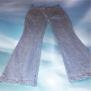 Classic Blue Flare Jeans